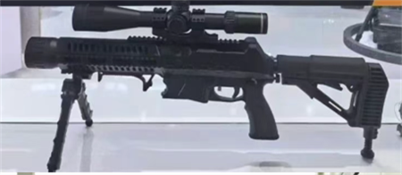 ���ܼ���ǹ